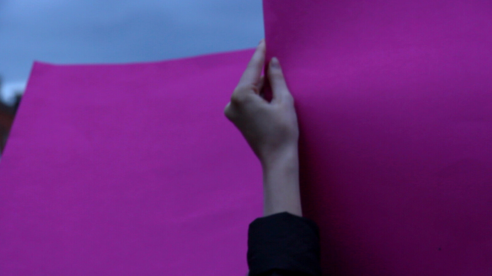 <p><em>Landfall</em> (2020) ‘March4repeal’, Dublin, 8 March 2017</p>